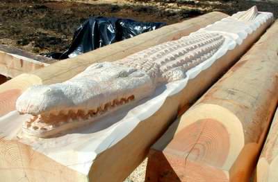 How about a log crocodile?? How about a log crocodile??