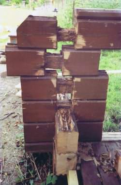 No log cabin maintenance! What neglected logs will look like. No log cabin maintenance! What neglected logs will look like.