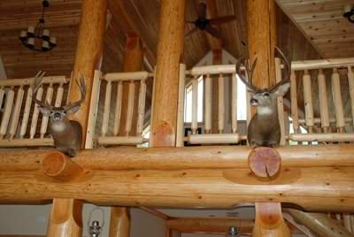 Big log cabins can be enhanced with nice post and beams Big log cabins can be enhanced with nice post and beams