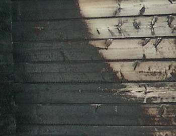 Always check your local authority to see what, if any, log cabin fire treatment you need