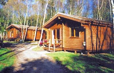 A log cabin holiday in the forest