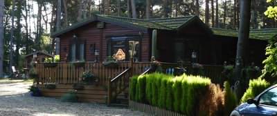 Mobile log cabins in a forest